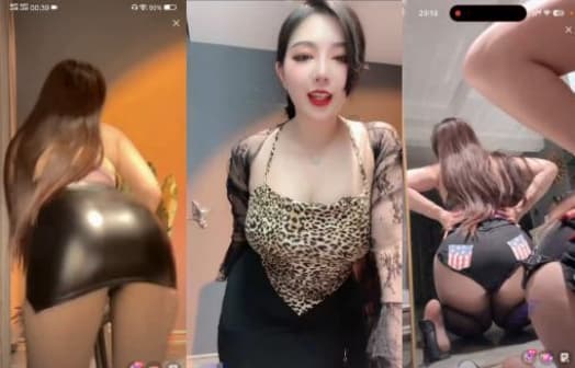 快手 我是洋洋本人 密码房直播热舞32V1.98G